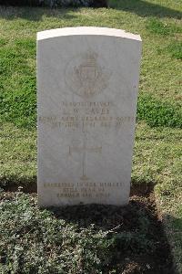 Ismailia War Memorial Cemetery - Cavey, Leonard William